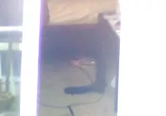 Les étudiants à leur tour ont des xxx lesbienne black relations sexuelles avec des filles en orgie.