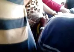 Coach regarder film porno lesbienne mange une femme célibataire.